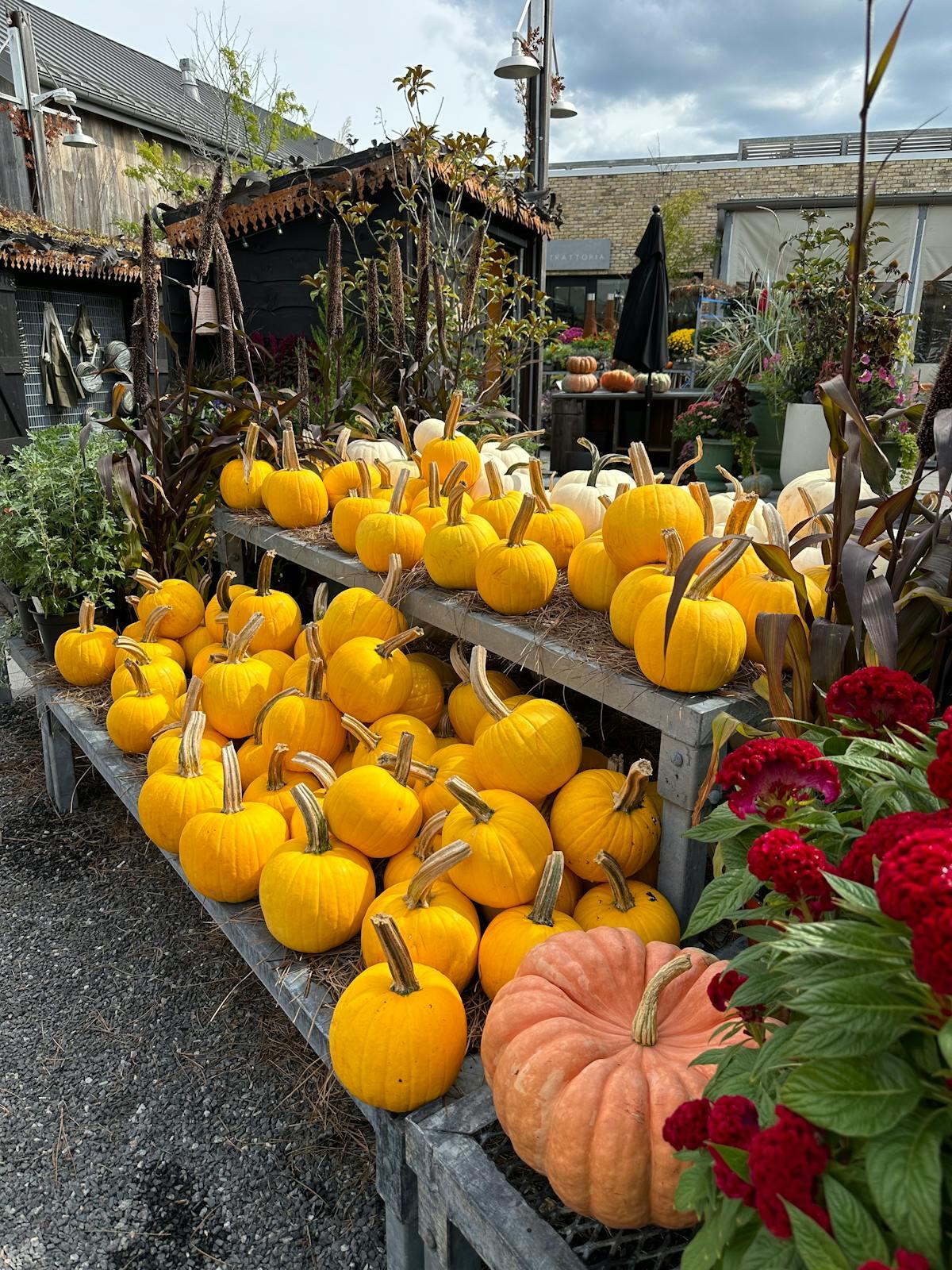 Call for Vendors: Hebron Fall Fest 2026