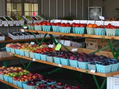 Von Bergen's Country Market