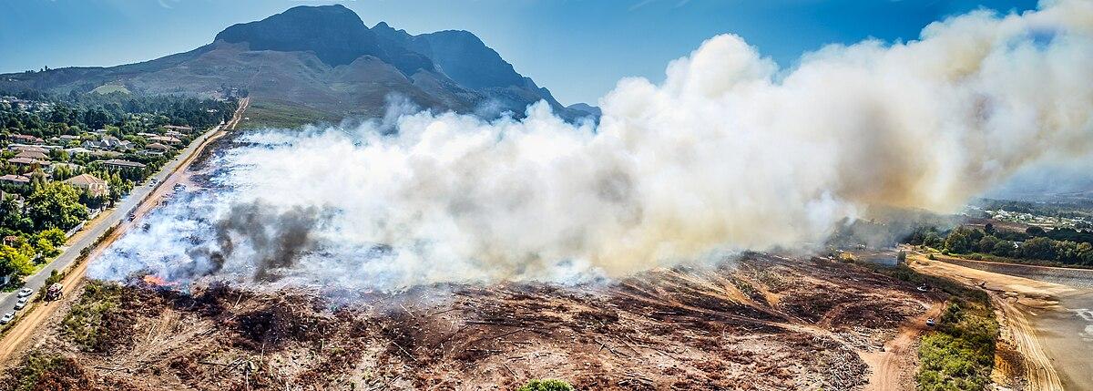 Controlled Burn Embers Ignite 15-Acre Cornfield Fire Near Hebron